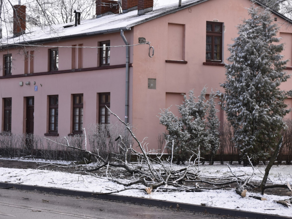Szaleństwo aury w pierwszy dzień zimy