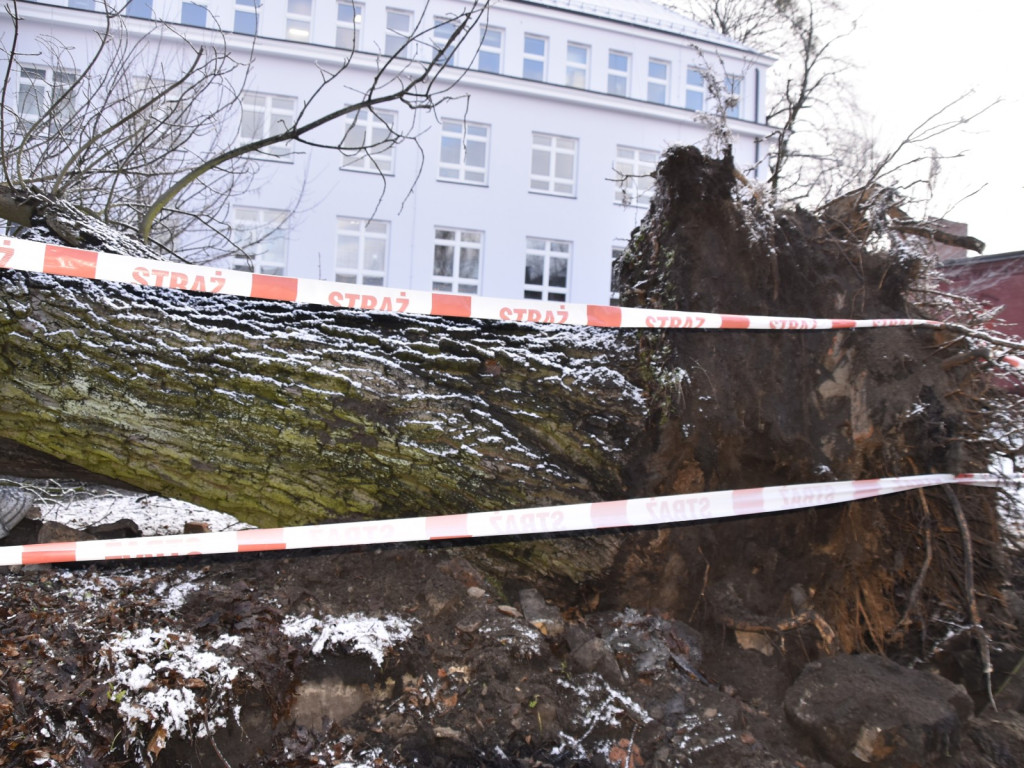 Szaleństwo aury w pierwszy dzień zimy