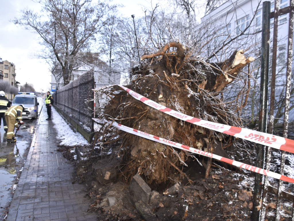 Szaleństwo aury w pierwszy dzień zimy