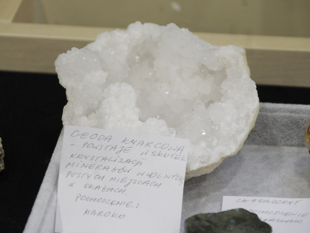 Wystawa 