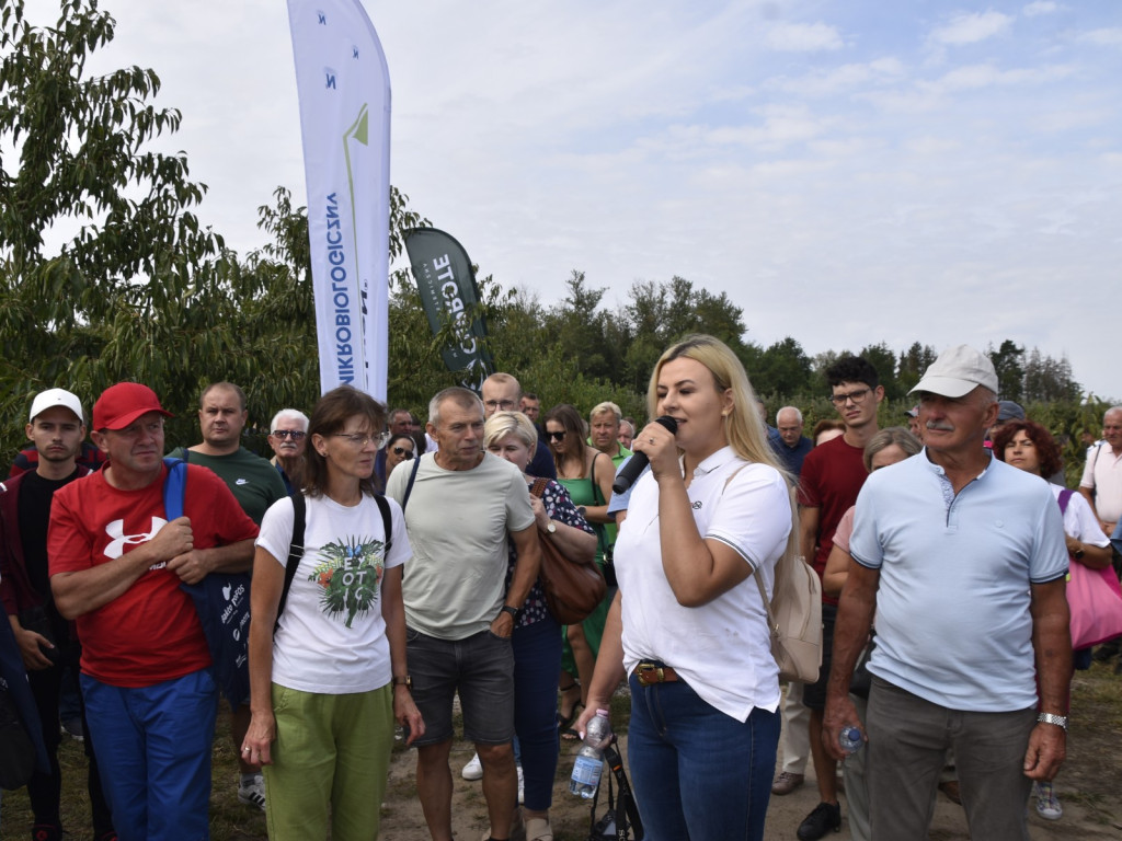 Bronisławka była czereśniową stolicą Polski