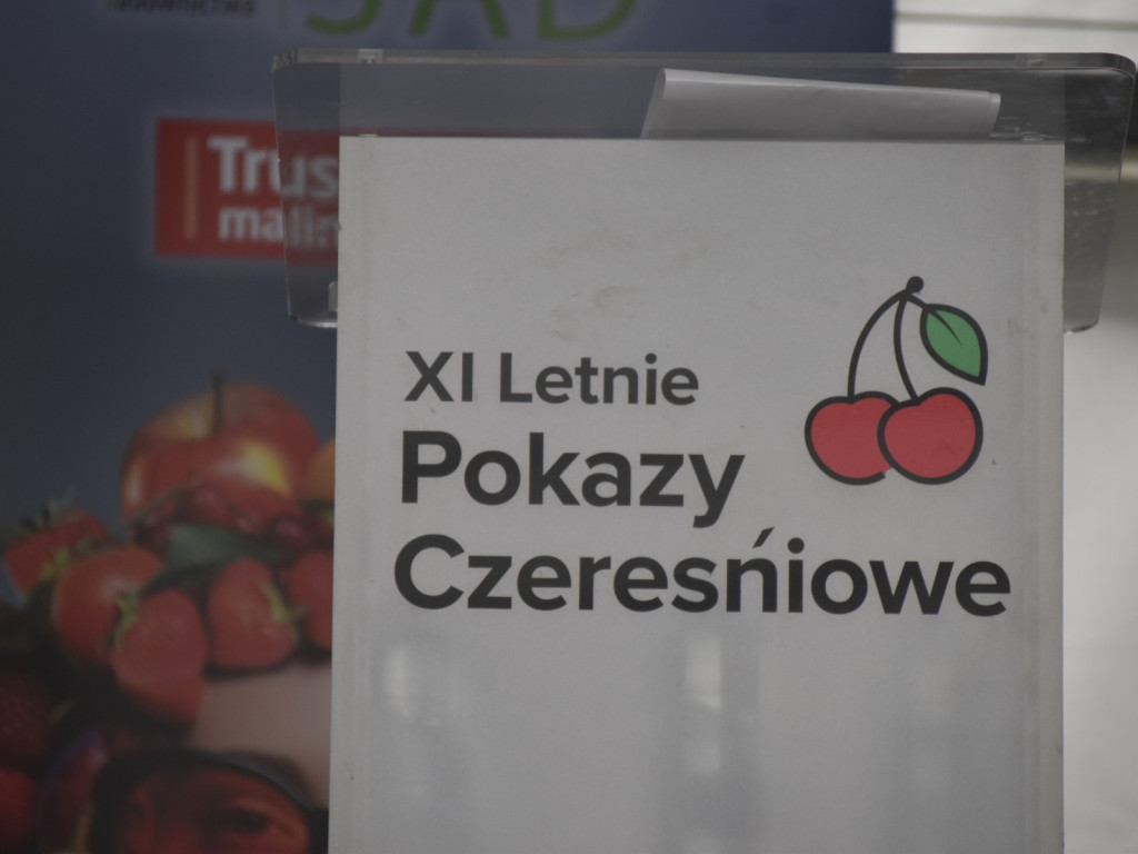 Bronisławka była czereśniową stolicą Polski