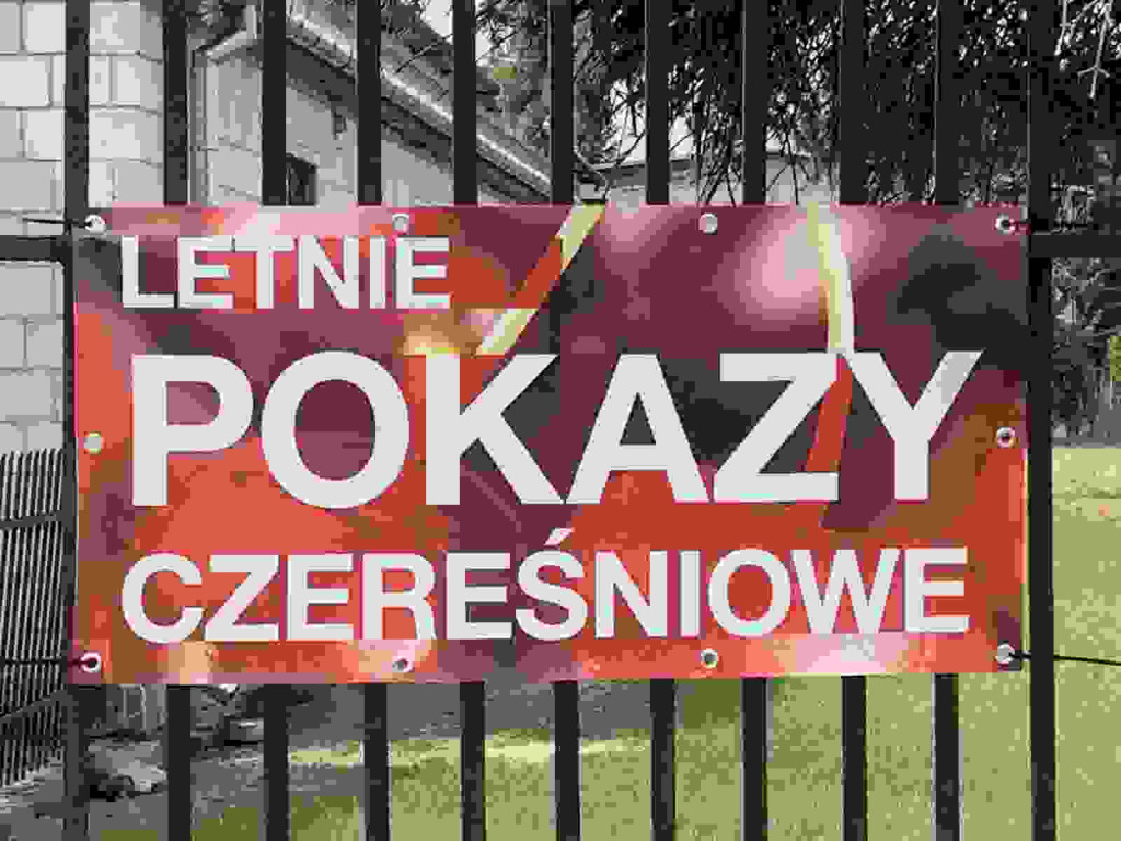 Bronisławka była czereśniową stolicą Polski