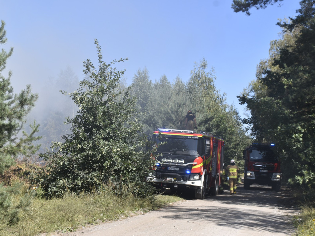 Płonął las przy ul. Pustynnej