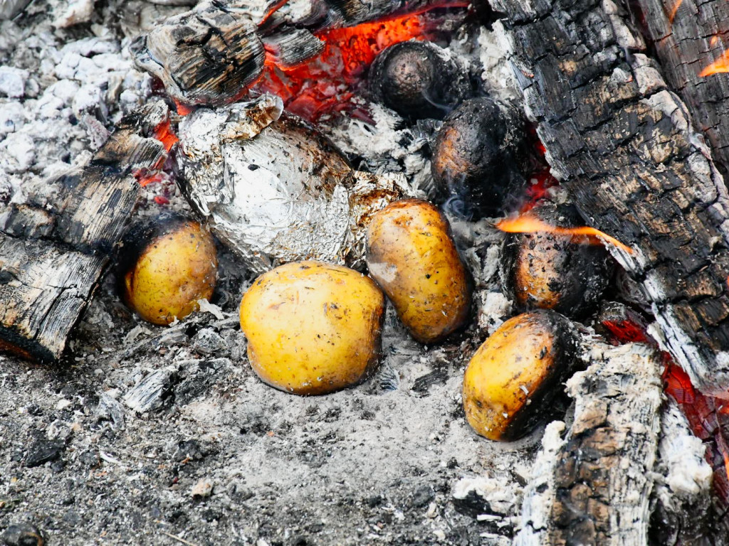 Święto Pieczonego Ziemniaka: Rodzinna Zabawa w Miejskim Ogrodzie Jordanowskim!