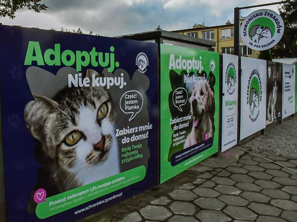 Dzień Otwarty w Schronisku - nowa odsłona i moc atrakcji