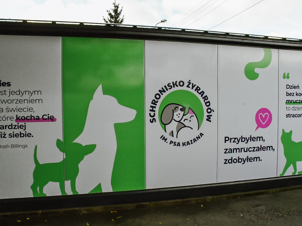Dzień Otwarty w Schronisku - nowa odsłona i moc atrakcji