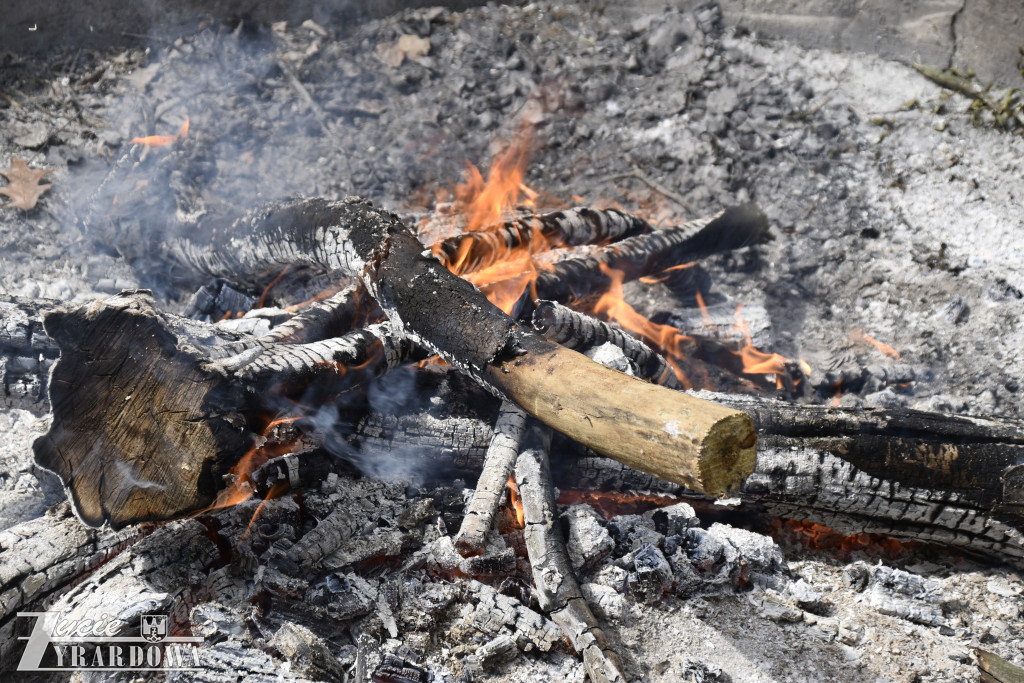 Hamernia stolicą osób niepełnosprawnych na Mazowszu