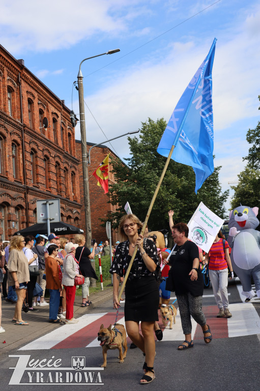 Parada Miasta Żyrardowa