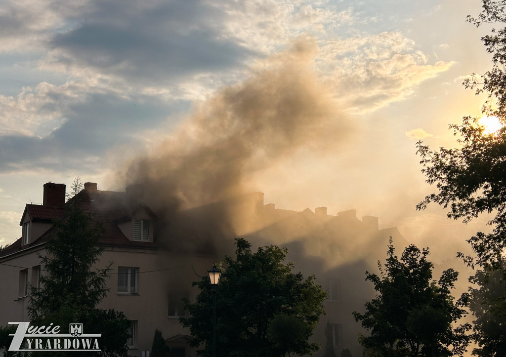 Mówią, że cudem uszli z życiem…