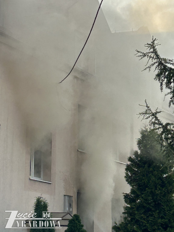 Mówią, że cudem uszli z życiem…