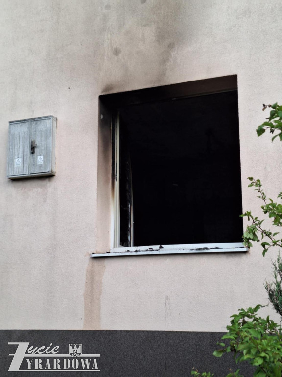Mówią, że cudem uszli z życiem…