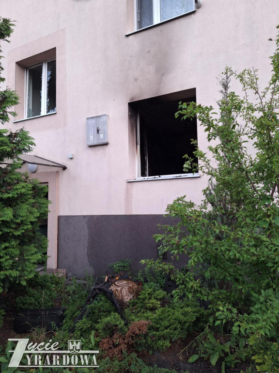Mówią, że cudem uszli z życiem…