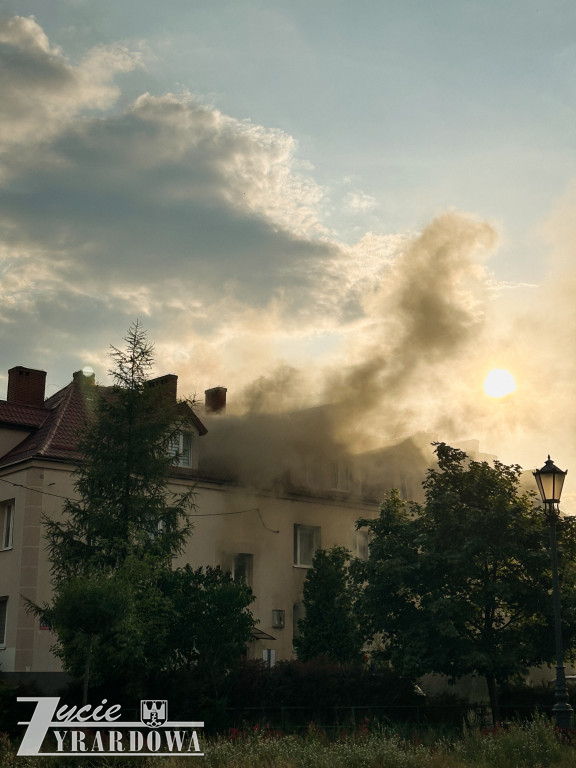 Mówią, że cudem uszli z życiem…
