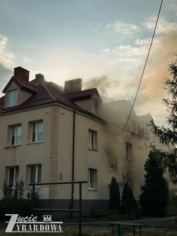 Mówią, że cudem uszli z życiem…