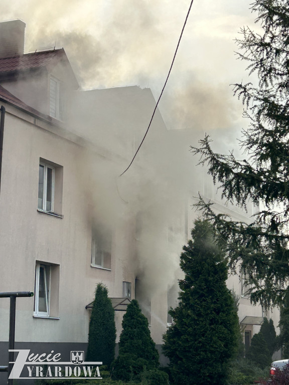 Mówią, że cudem uszli z życiem…
