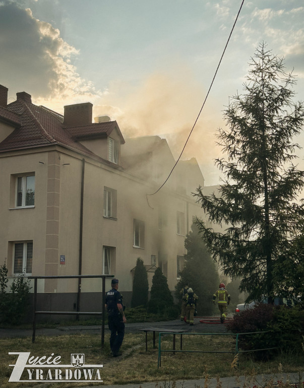 Mówią, że cudem uszli z życiem…