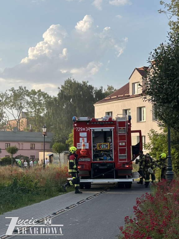 Mówią, że cudem uszli z życiem…