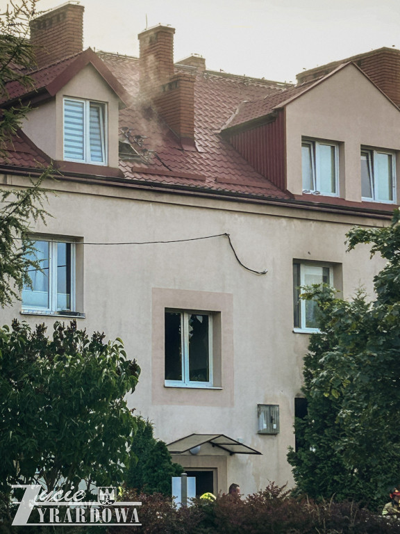 Mówią, że cudem uszli z życiem…
