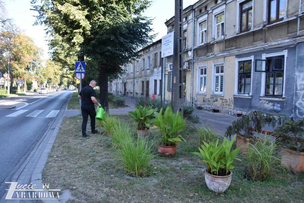 Mają swój kominiarski ogródek