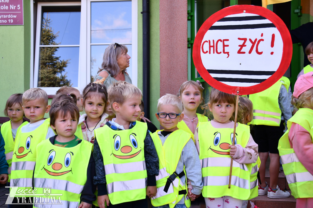 Kierowco! Nie polujemy na zebrach!
