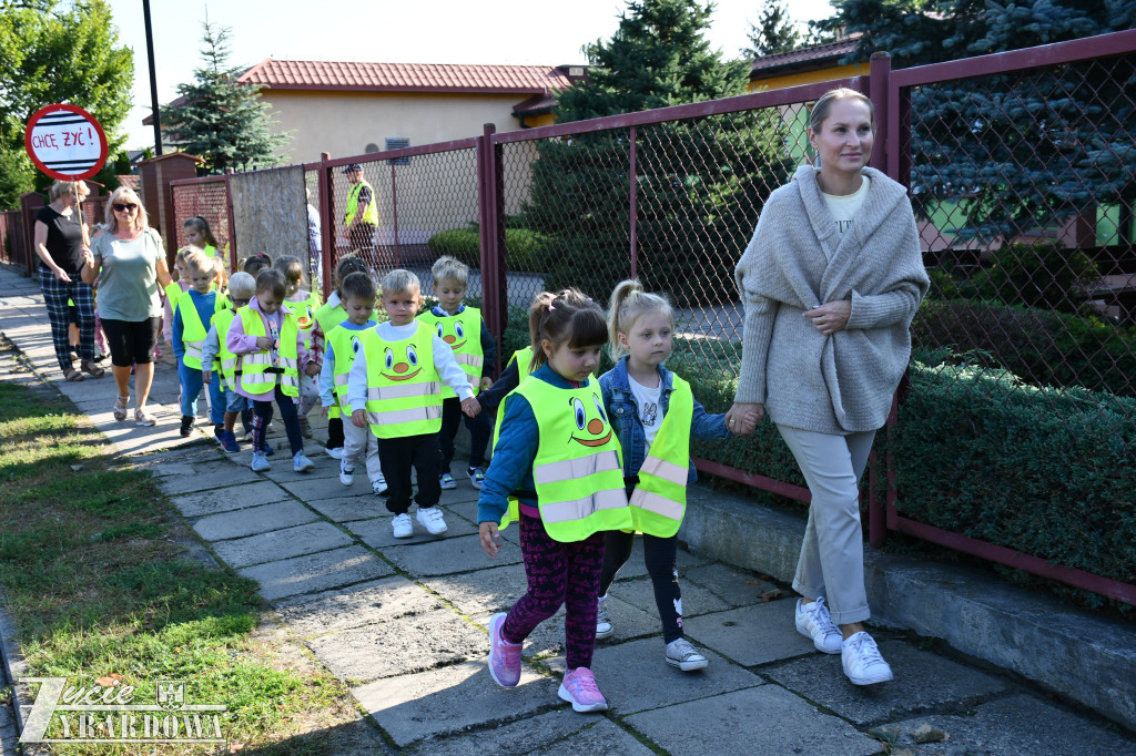 Kierowco! Nie polujemy na zebrach!
