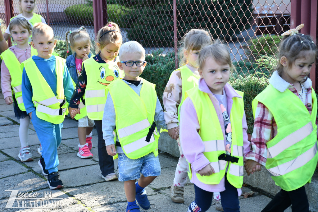 Kierowco! Nie polujemy na zebrach!