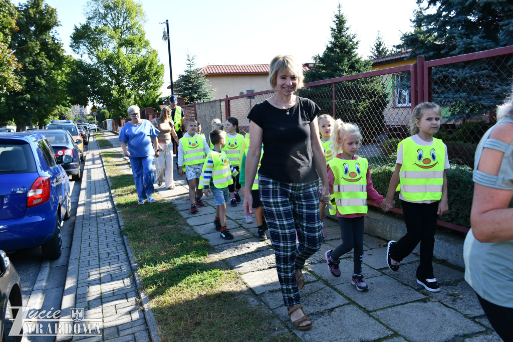 Kierowco! Nie polujemy na zebrach!
