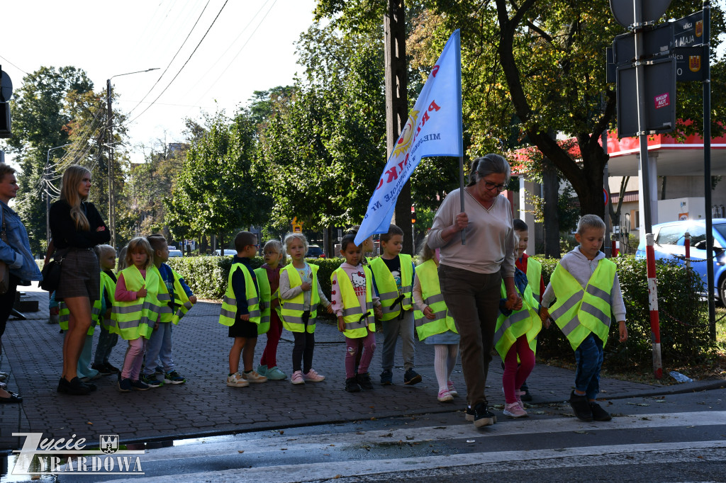 Kierowco! Nie polujemy na zebrach!