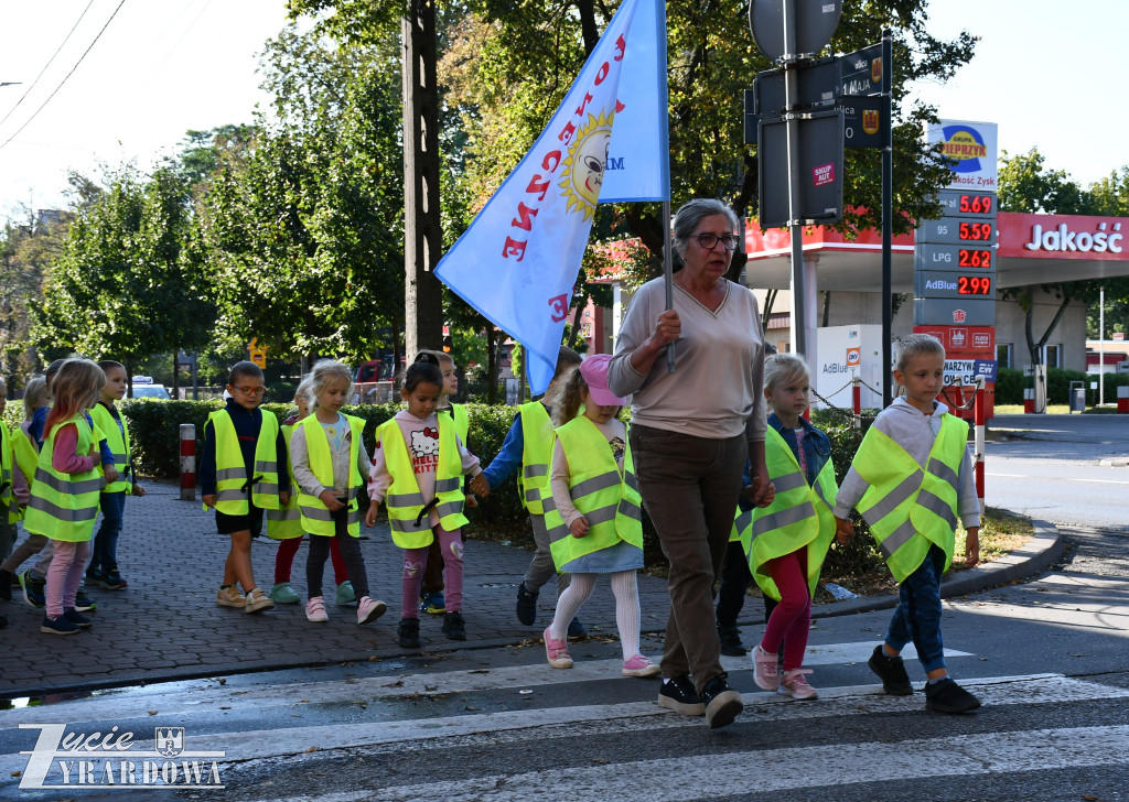 Kierowco! Nie polujemy na zebrach!