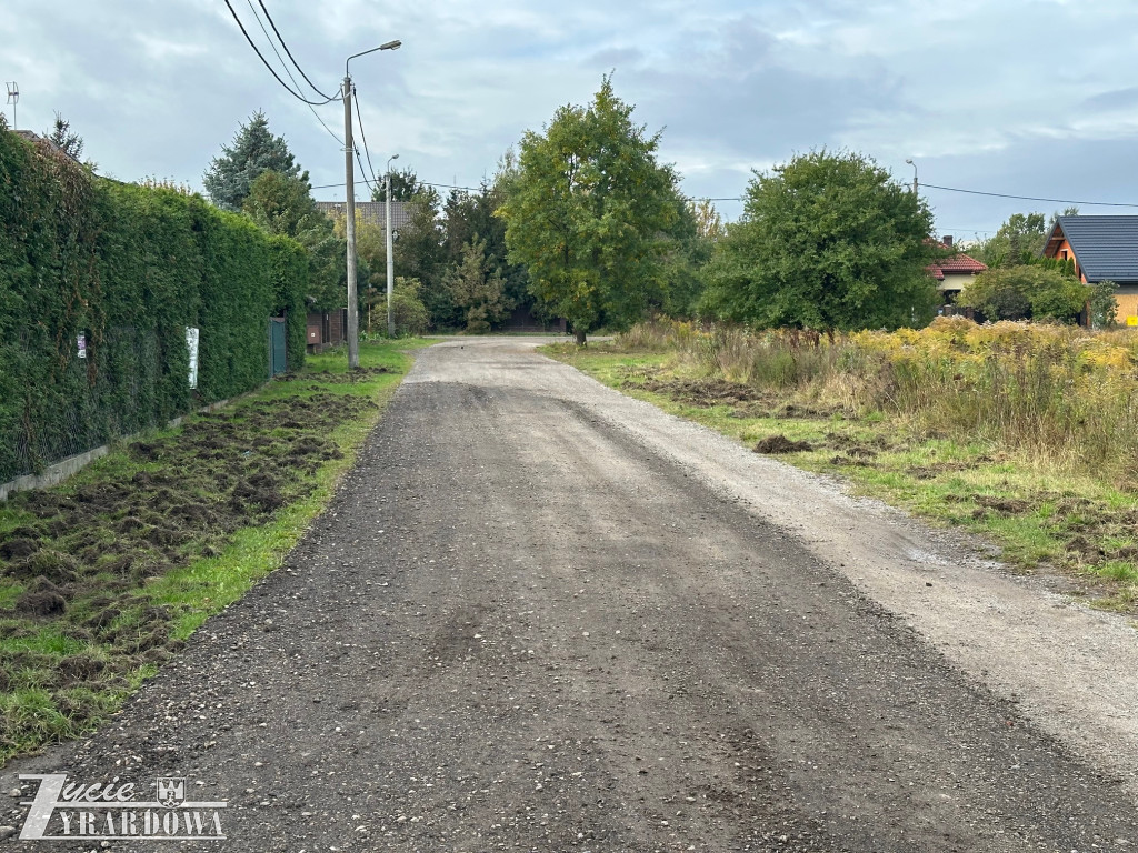 Hordy dzików dotarły do Żyrardowa