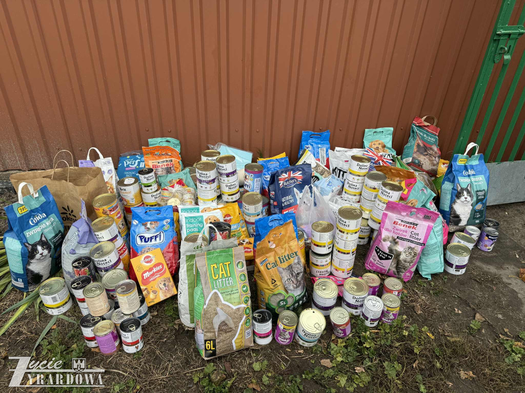 Dzień Kundelka w Miejskim Przedszkolu nr 6