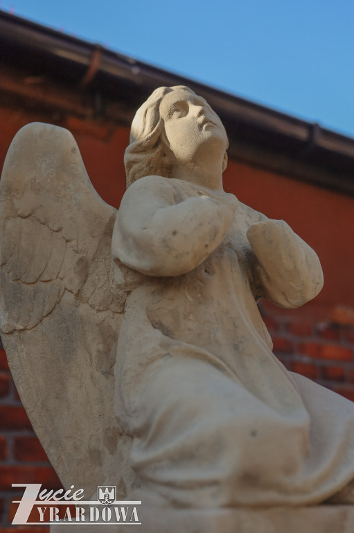 Rekord zbiórki na renowację zabytkowych nagrobków