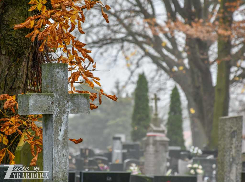 Zaduszkowy spacer po żyrardowskim cmentarzu
