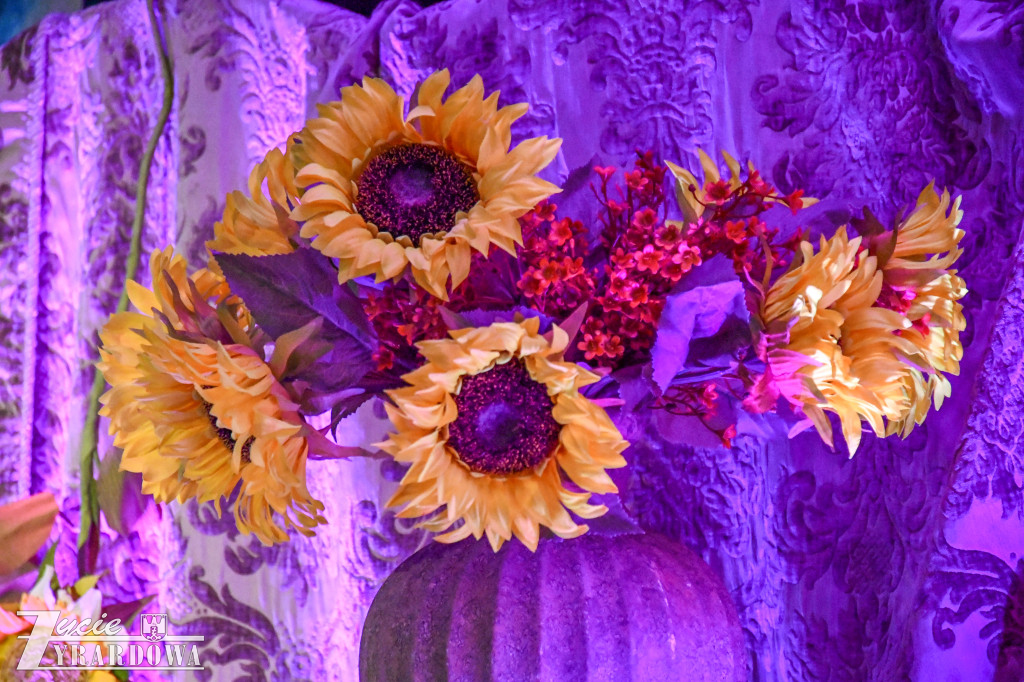 Muzyka i uśmiechy  w Przestrzeni Seniora