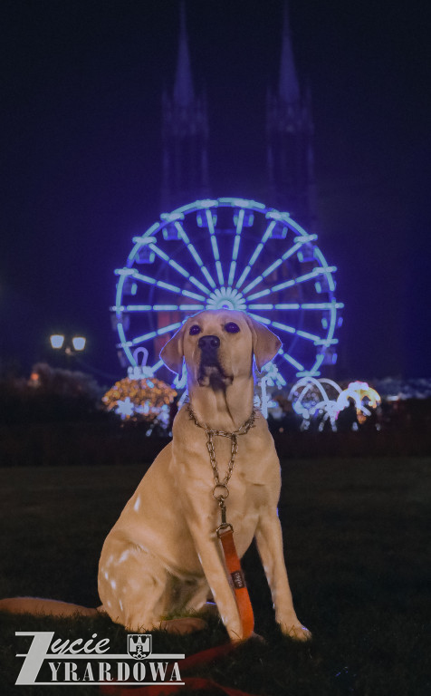 Mikołajki w Żyrardowie