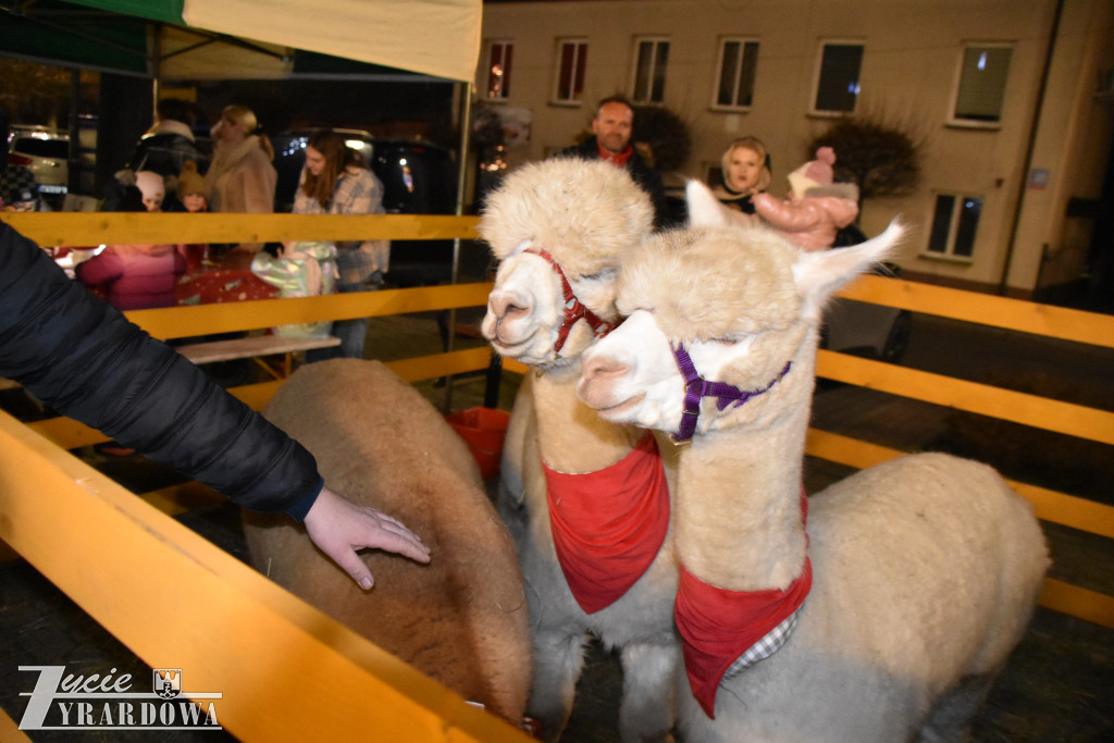 Mikołajki z Gwiazdami w Wiskitkach w bajkowej scenerii