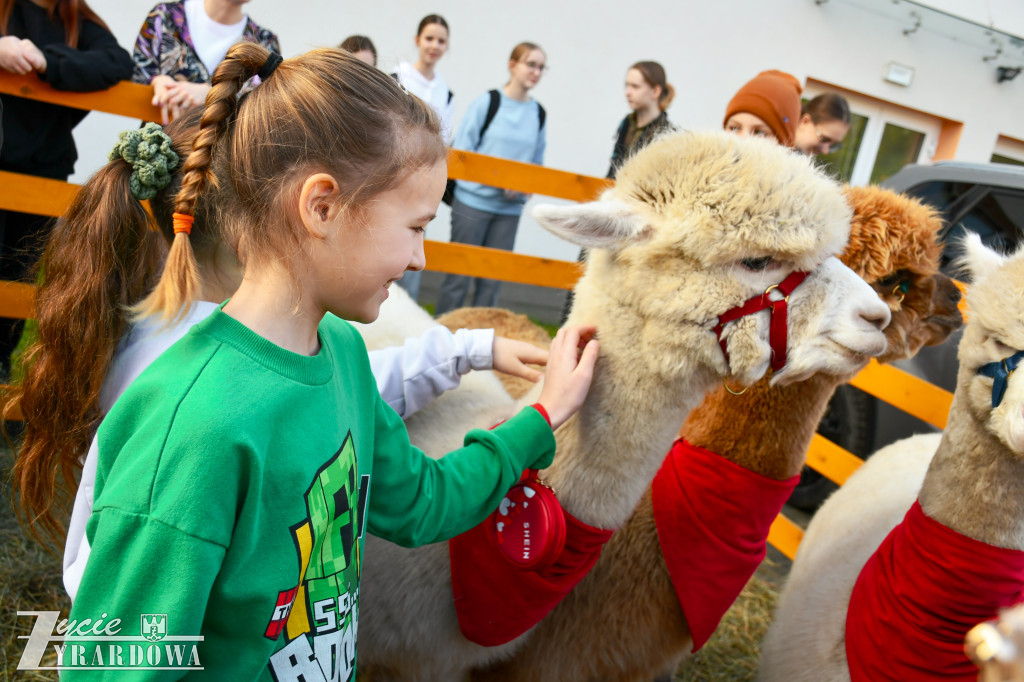 Świąteczna podróż do Niemiec w murach SP nr 3