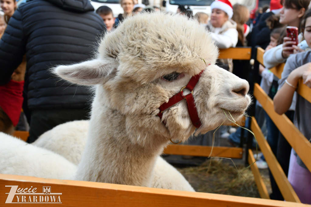 Świąteczna podróż do Niemiec w murach SP nr 3