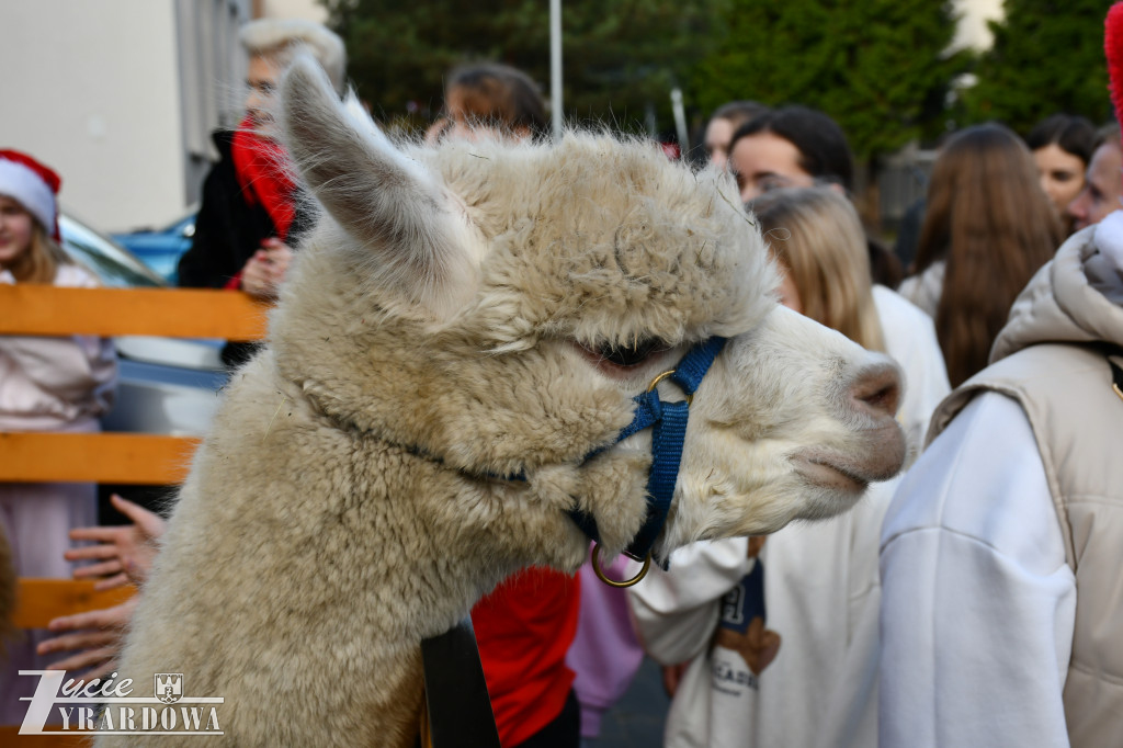 Świąteczna podróż do Niemiec w murach SP nr 3