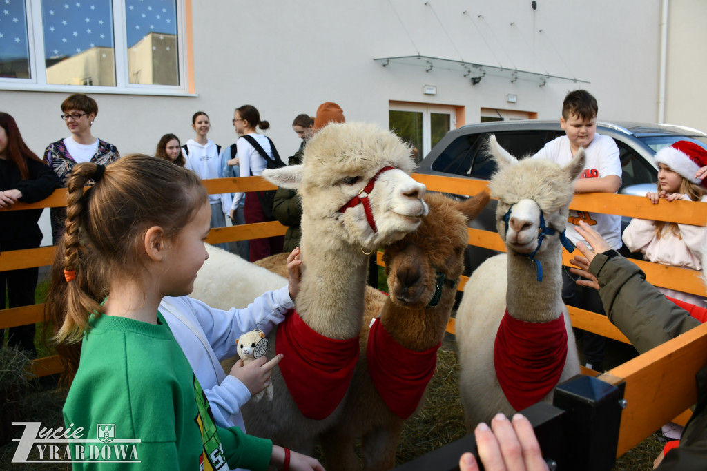 Świąteczna podróż do Niemiec w murach SP nr 3