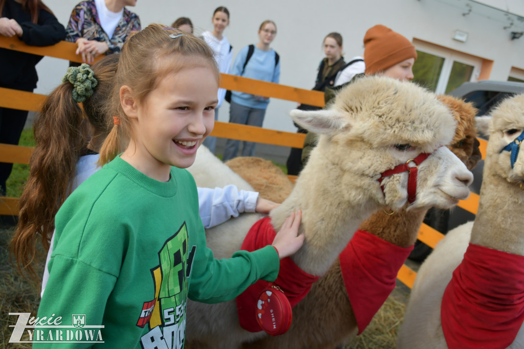 Świąteczna podróż do Niemiec w murach SP nr 3