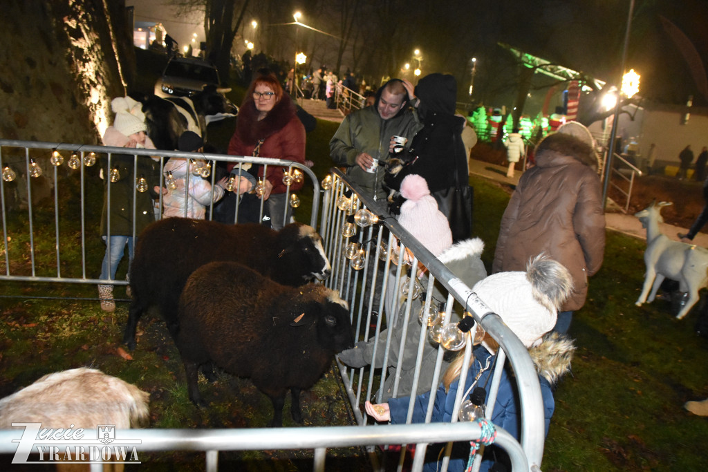 Wigilia w Mszczonowie – rodzi się piękna nowa tradycja