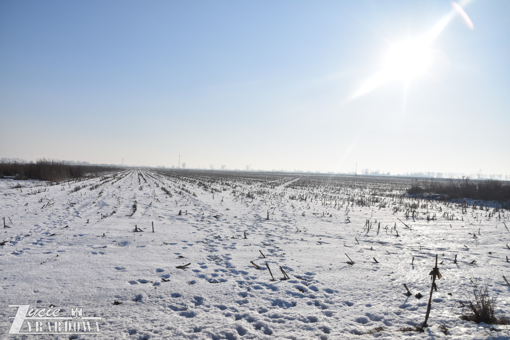 Nowy Oryszew - wyburzone domy i… ostatnich 10 gospodarzy