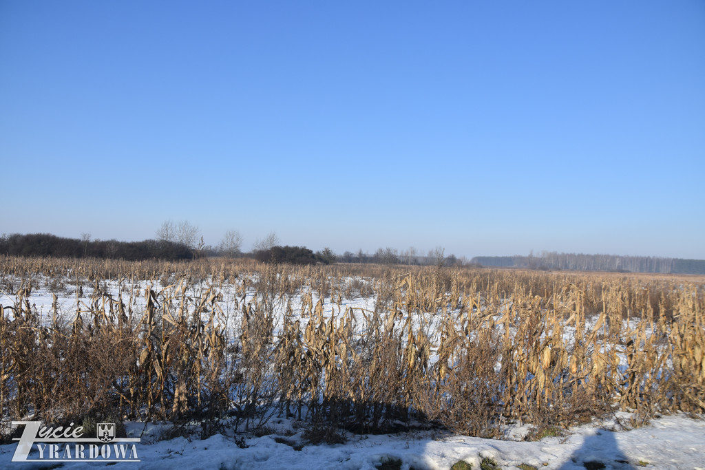 Nowy Oryszew - wyburzone domy i… ostatnich 10 gospodarzy