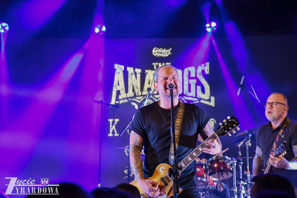 WOŚP: od HAPPYSAD po licytacje pełne emocji