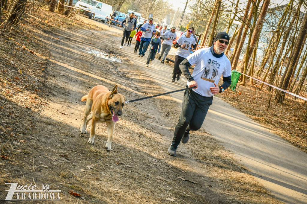 Bieg Tropem Wilczym w Żyrardowie