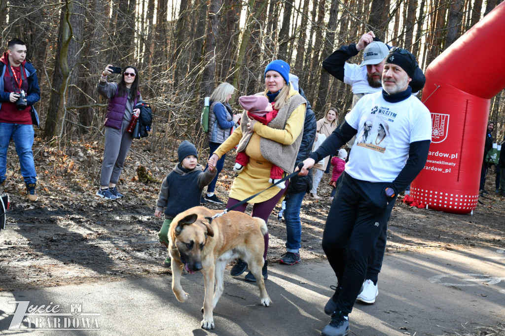 Bieg Tropem Wilczym w Żyrardowie