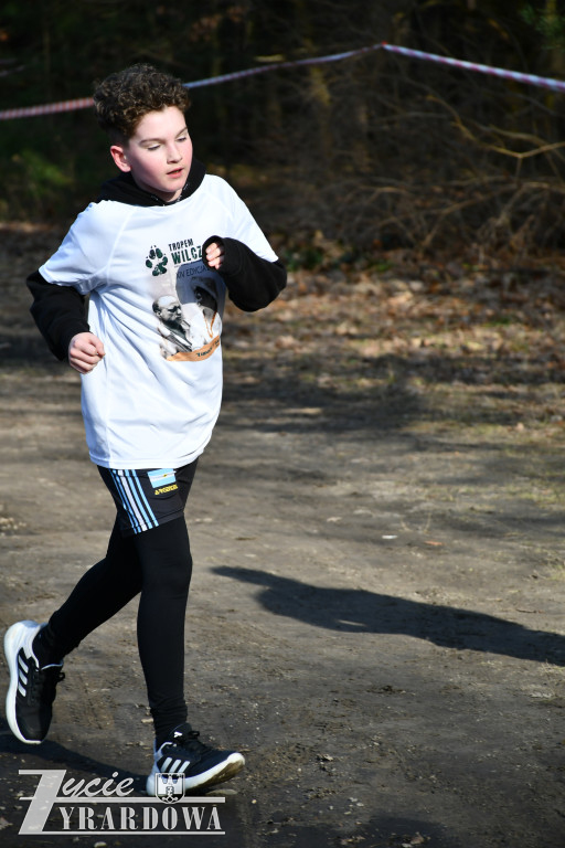 Bieg Tropem Wilczym w Żyrardowie