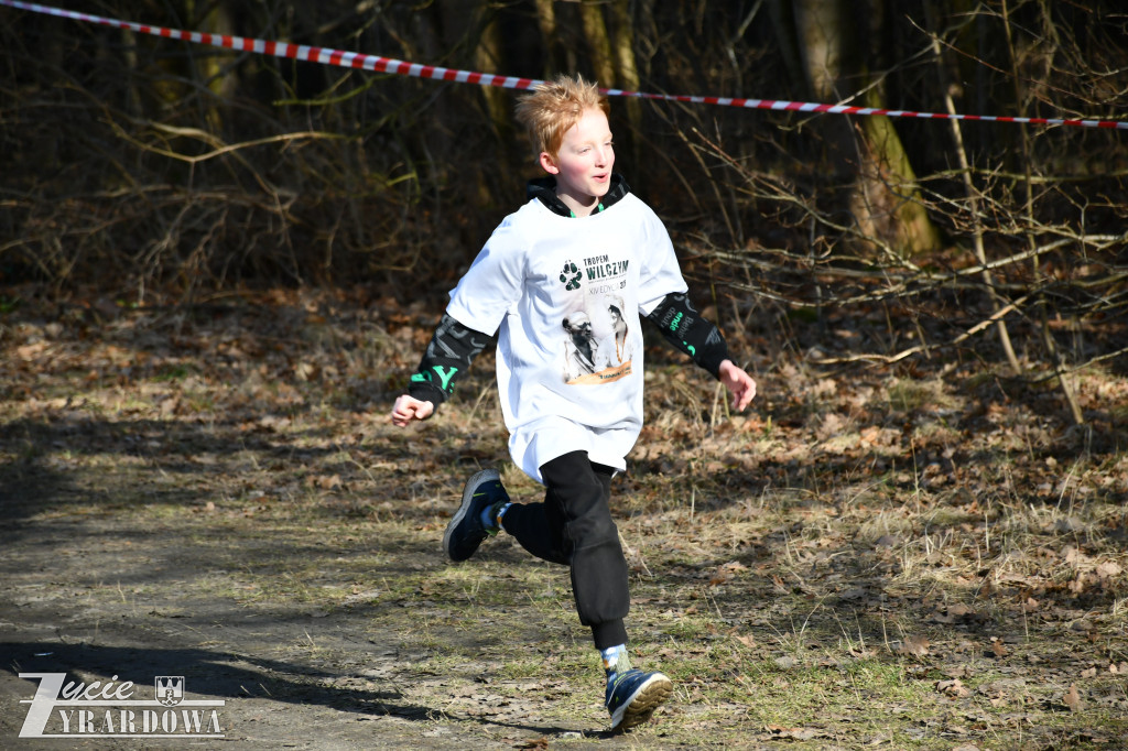Bieg Tropem Wilczym w Żyrardowie